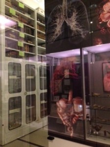 storage lockers of specimens