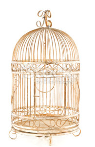 The gilded cage